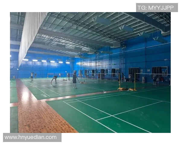 南京羽毛球队的耐力训练与比赛表现探讨聚焦羽毛球运动的未来发展 南京羽毛球队的耐力训练与比赛表现探讨聚焦羽毛球运动的未来发展