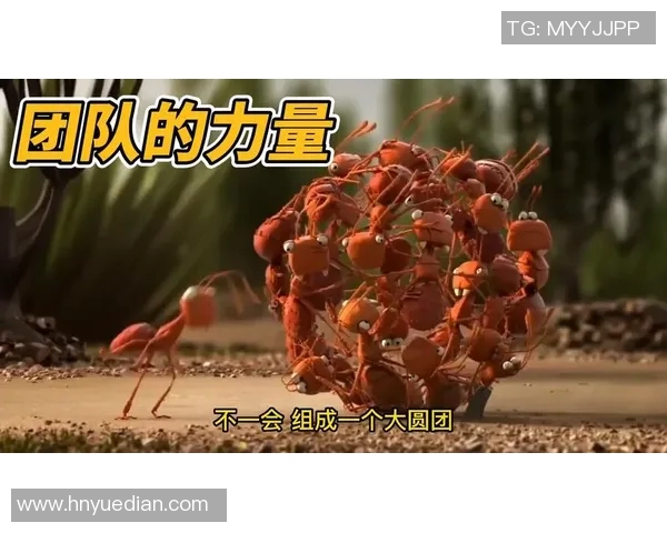 杭州乒乓球队的崛起之路:探索团队力量与竞技精神的完美结合 杭州乒乓球队的崛起之路:探索团队力量与竞技精神的完美结合