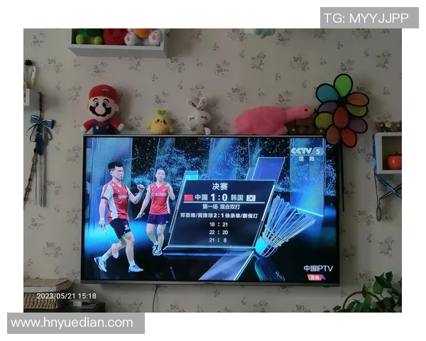 南京与深圳羽毛球队耐力对决赛后分析与总结 南京与深圳羽毛球队耐力对决赛后分析与总结